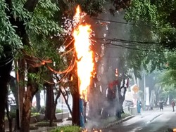 Tiang Listrik di Dekat Taman Menteng Terbakar, Jalan Sekitar Ditutup