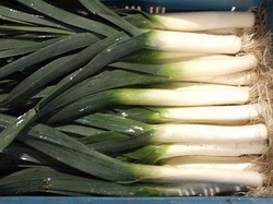 Bawang Prei vs Daun Bawang, Apakah Sama?