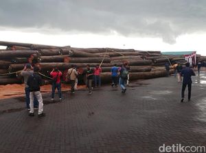 Bareskrim Bongkar Kasus Ilegal Logging di Kalteng, Ribuan Kayu Dijual ke Jatim Bareskrim Bongkar Kasus Ilegal Logging di Kalteng, Ribuan Kayu Dijual ke Jatim