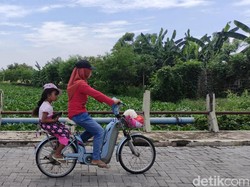 Duh, Sungai Prasung Sidoarjo Dipenuhi Eceng Gondok Sepanjang 2 Km