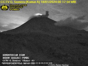 Gunung Semeru Kembali Erupsi, Tinggi Letusan Capai 700 Meter