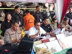 Begini Modus Ilegal Logging dari Kalteng Lalu Dijual ke Lamongan