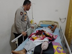 Petani di OKU Nyaris Dimangsa Beruang, Gelut hingga Kaki Putus