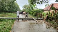5 Tiang PLN Roboh Bikin Arus Lalin Kangayan-Arjasa Tersendat