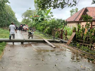 5 Tiang PLN Roboh Bikin Arus Lalin Kangayan-Arjasa Tersendat