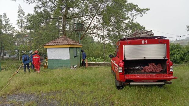 Petugas Damkar mengevakuasi 12 sarang tawon usai bocah tewas disengat.