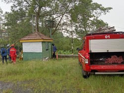 Kronologi Bocah Tewas Disengat Tawon di Puncak hingga Sarangnya Dibakar