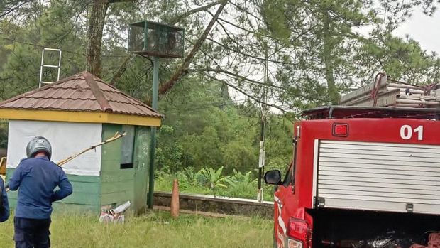 Petugas Damkar mengevakuasi 12 sarang tawon usai bocah tewas disengat.