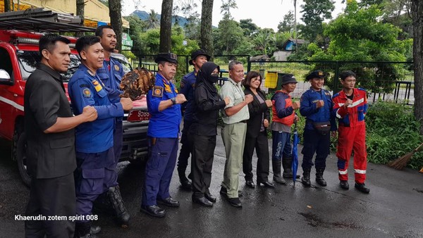 Petugas Damkar mengevakuasi 12 sarang tawon usai bocah tewas disengat.