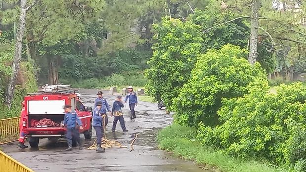 Petugas Damkar mengevakuasi 12 sarang tawon usai bocah tewas disengat.