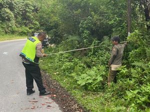 Warga Baru Pulang dari Ladang di Taput Tewas Ditabrak Truk