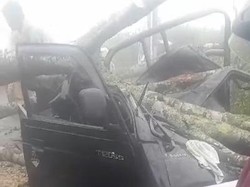 Pikap Angkut 14 Orang Tertimpa Pohon di Banjarnegara!