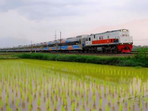 Asal-usul Nama KA Taksaka yang Berasal dari Hewan Mitologi Asal-usul Nama KA Taksaka yang Berasal dari Hewan Mitologi