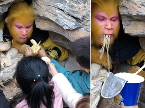 Taman Bermain Ini Buka Lowonngan Raja Kera, Dapat Makanan Enak dan Gaji Rp 13 Juta Taman Bermain Ini Buka Lowonngan Raja Kera, Dapat Makanan Enak dan Gaji Rp 13 Juta