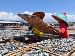 Banyuwangi Punya Strategi Atasi Harga Ikan Anjlok