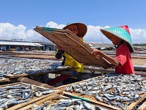 Banyuwangi Punya Strategi Atasi Harga Ikan Anjlok Banyuwangi Punya Strategi Atasi Harga Ikan Anjlok