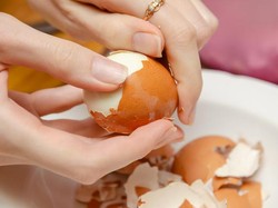 Telur Rebus Mulus dan Tidak Hancur, Begini Tips Mengupasnya