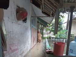 Rumah-Sawah di Gunungguruh Sukabumi Terendam Banjir akibat Luapan Cibodas