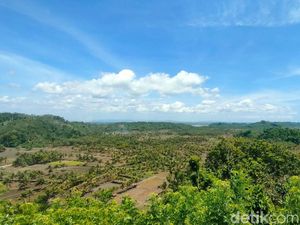 Nafas Segar Atlet Paralayang di Bukit Nanggerang Pangandaran