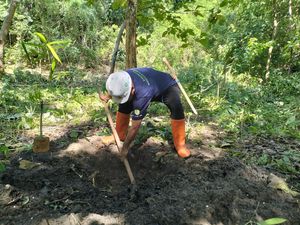 Edi Endi Bakal Naikkan ADD 2 Kali Lipat untuk Desa yang Sukses Tanam Bambu