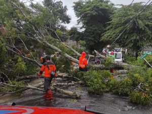Hujan Angin Terjadi di Sleman Seharian, Enam Kapanewon Terdampak