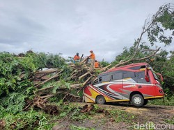 Detik-detik Pohon Tumbang Timpa Bus di Jalan Raya Wonogiri-Ngadirojo