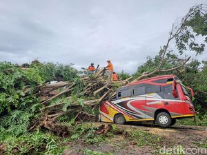 Detik-detik Pohon Tumbang Timpa Bus di Jalan Raya Wonogiri-Ngadirojo Detik-detik Pohon Tumbang Timpa Bus di Jalan Raya Wonogiri-Ngadirojo