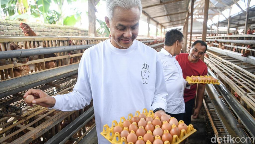 Ganjar Kunjungi Peternak Ayam di Magetan Ganjar Kunjungi Peternak Ayam di Magetan