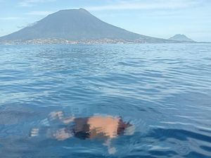 Pria Asal Makassar Ditemukan Tewas Terapung di Perairan Tidore Kepulauan Pria Asal Makassar Ditemukan Tewas Terapung di Perairan Tidore Kepulauan