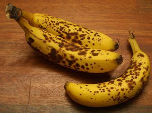 5 Cara Simpan Pisang agar Tak Cepat Lembek dan Menghitam 5 Cara Simpan Pisang agar Tak Cepat Lembek dan Menghitam