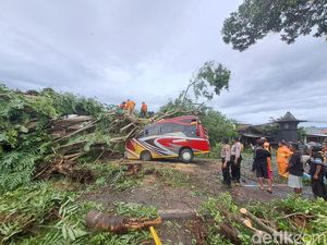 Bruk! Pohon Tumbang Timpa Bus di Jalan Raya Wonogiri-Ngadirojo