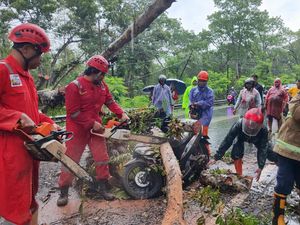 Pohon Tumbang Timpa Pemotor di Jalan Wonosari Bunder, 3 Orang Sekeluarga Luka Pohon Tumbang Timpa Pemotor di Jalan Wonosari Bunder, 3 Orang Sekeluarga Luka