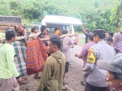 Petani Tewas Kesetrum Jebakan Babi di Ladang Jagung
