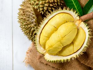 7 Jenis Durian Malaysia yang Juara Enaknya, Selain Musang King 7 Jenis Durian Malaysia yang Juara Enaknya, Selain Musang King