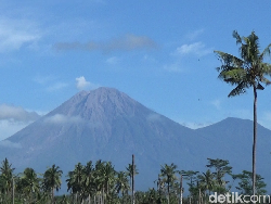 Gunung Semeru Kembali Erupsi, Ketinggian Abu Vulkanik  500 Meter