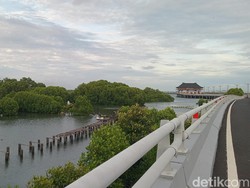 Peneliti BRIN Wanti-wanti Pembangunan di Teluk Benoa Berpotensi Rusak Mangrove