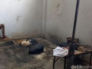 Pengakuan Agus 25 Tahun Jadi Jagal Anjing di Solo Pengakuan Agus 25 Tahun Jadi Jagal Anjing di Solo