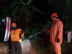 Pohon Asem Tumbang Sempat  Tutup Jalan Nasional Trenggalek-Tulunngagung