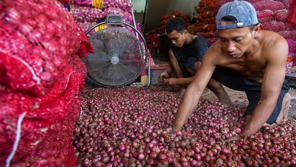 Harga Bawang Merah Turun di Medan