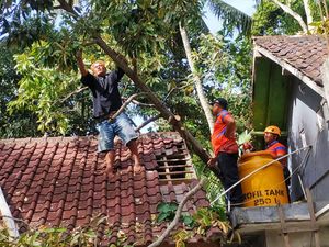 36 Bencana Landa Karangasem di Awal Tahun, Masyarakat Diimbau Waspada 36 Bencana Landa Karangasem di Awal Tahun, Masyarakat Diimbau Waspada