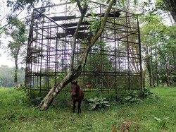 Medan Zoo Batal Ditutup Sebelum Lebaran