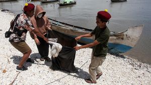 Aksi Mahasiswa PMKRI Bersih-bersih Pantai Kenjeran