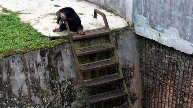 Apakah Penderita Gagal Ginjal Boleh Makan Kurma saat Buka Puasa?
