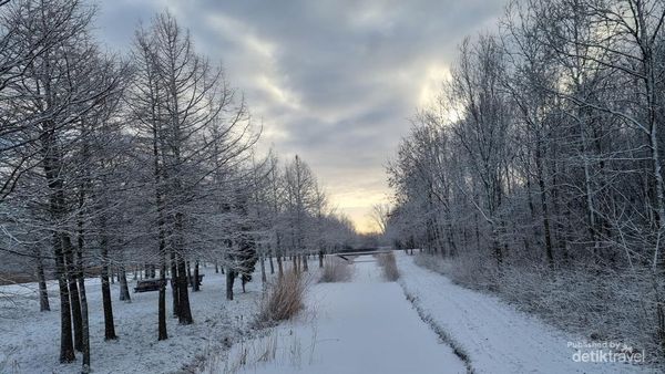 Emang Boleh Musim Dingin di Belanda Secantik Ini?