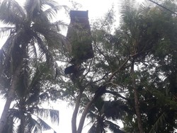 19 Rumah-1 Puskesmas di Flores Timur Rusak Diterjang Angin Puting Beliung