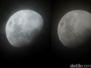 Foto Perbandingan Hasil Kamera Galaxy S24 Ultra vs S23 Ultra, Suka Mana? Foto Perbandingan Hasil Kamera Galaxy S24 Ultra vs S23 Ultra, Suka Mana?