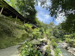 Asyiknya... Nge-Grill di Tepi Sungai Usai Berenang di Nukad Tampaksiring
