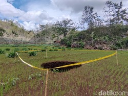 Geger Kemunculan 2 Sinkhole Berjejer di Rongkop Gunungkidul