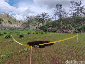Geger Kemunculan 2 Sinkhole Berjejer di Rongkop Gunungkidul Geger Kemunculan 2 Sinkhole Berjejer di Rongkop Gunungkidul