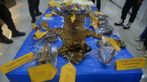 Kasihan! Harimau Ini Jadi Korban Mafia Perdagangan Satwa